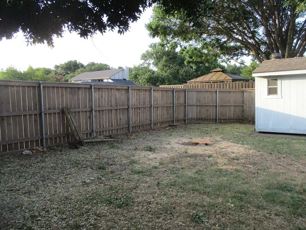 Cleared yard after professional tree removal in Elizabethtown